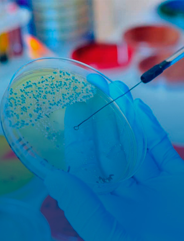 Microbiología